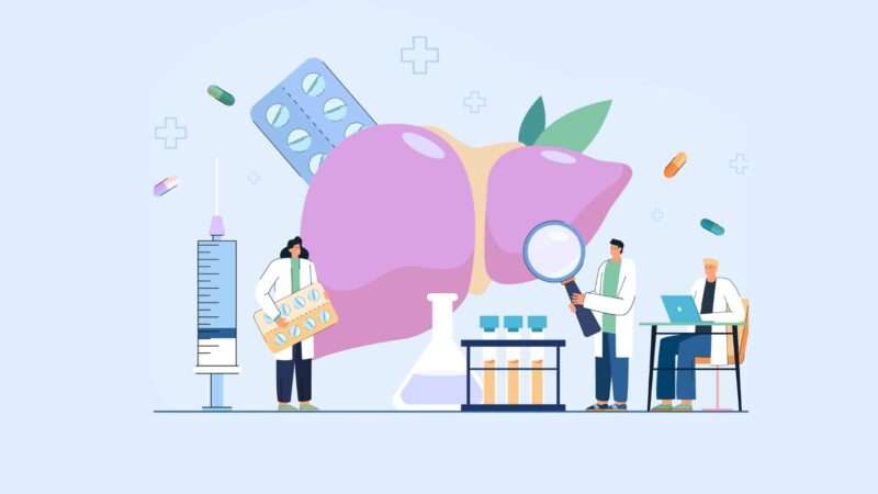 Two doctor research liver health