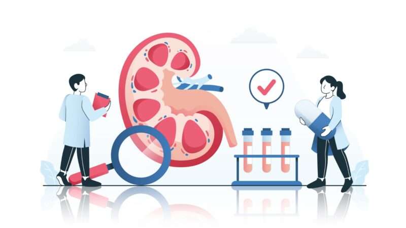 kidney health checkup